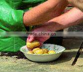 Plastic potato grow bag