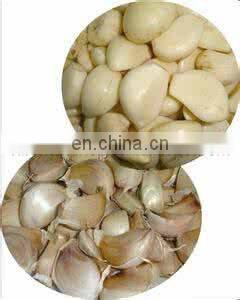 High Speed Garlic Peeler Garlic Peeling Machine Food & Beverage Shops 1 YEAR Field Installation Commissioning and Training