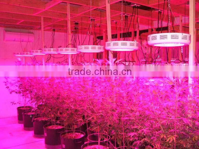 factory price of led grow light for global wholesales and agents