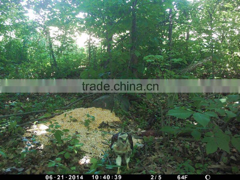 Wholesale gprs hunting camera 3g hunting camera