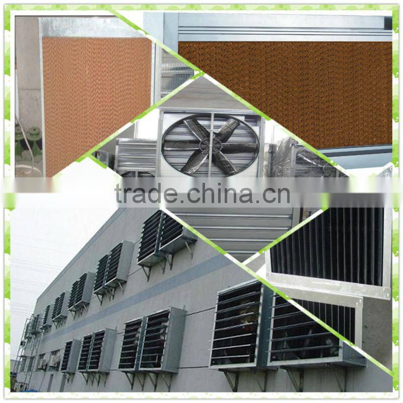 quail cage for sale & layer quail cage for poultry farm equipment