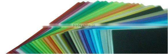 non woven bag, ecological shopping bag for shopping