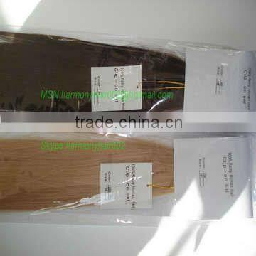 FASHION 12 inch clips in hair extensions