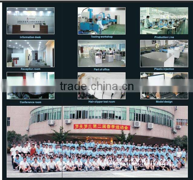 newest 2 in 1 LED ceramic travel floding hair straighetner