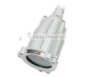 BAK51-Explosion proof inspection hole lamp