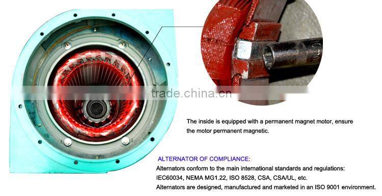 CE Approve small power biogas generator 50kw