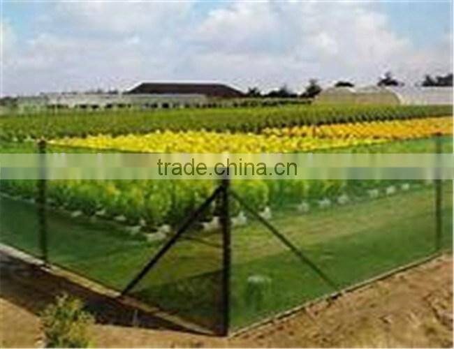 tennis court windscreen/privacy screen