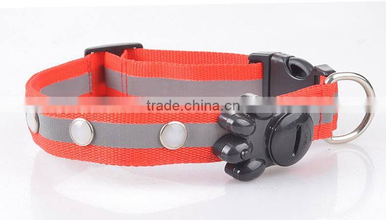 light up you and your pet dog evening dog collar with led lights