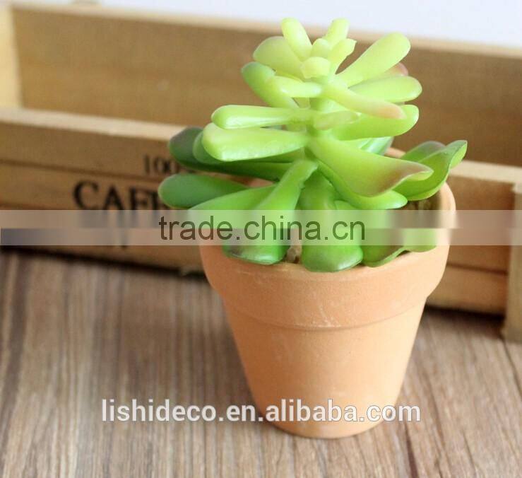 High Quality Artificial Succulent Plants Export Succulent Plants