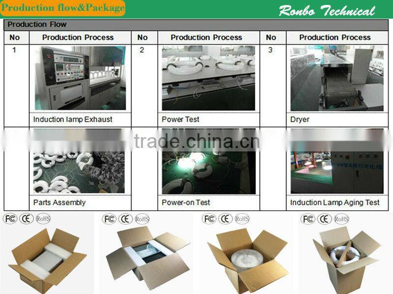 RoHS induction lamp with self ballast tunnel light