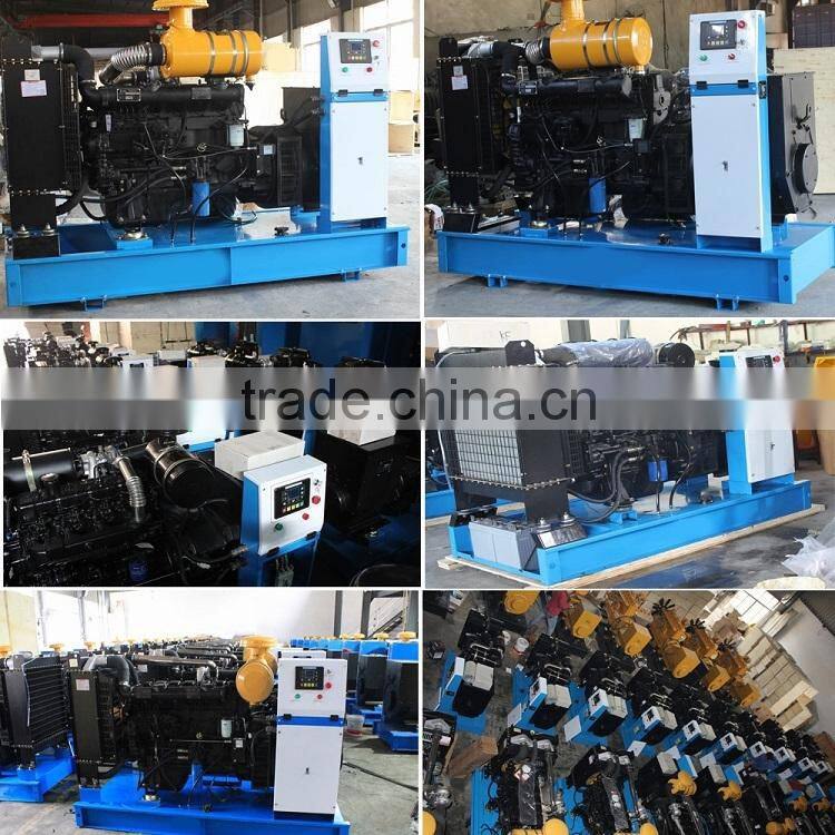 Chinese Best price enough power Ricardo Diesel generator set with ATS