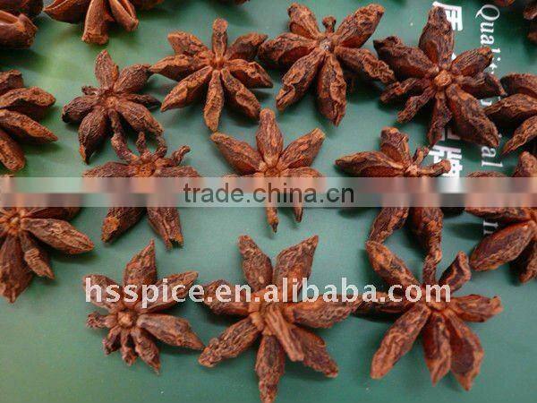 Chinese star aniseed