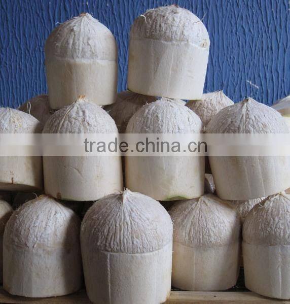 Fresh Young Coconut (Diamond/ Polish Shape)
