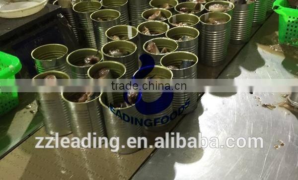 High Quality China Processed Instant Canned Mackerel Fish Salt and Water Added Fresh Raw Material