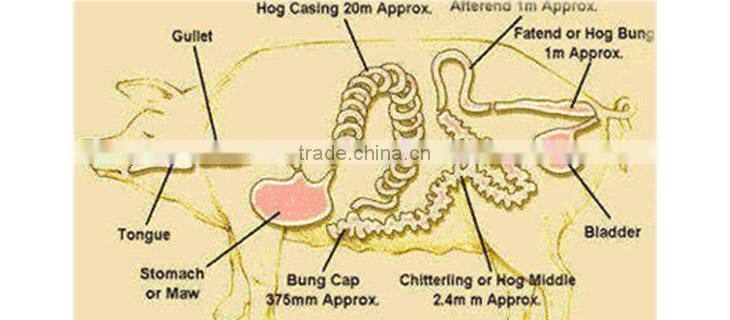 Quality Salted Hog Casing