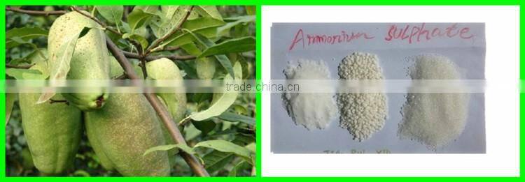 High purity agriculture grade ammonium sulphate