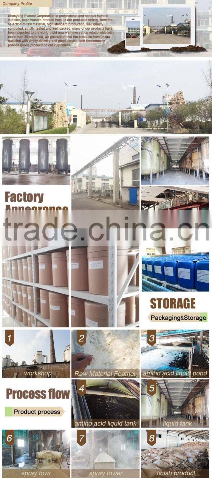 Environmental Highconcentrated Free Sample Branch Chain High Soluble amino acid for poultry feed