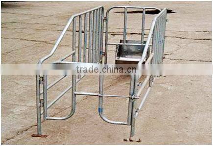 Sow limited crate/ Gestation/stall/pen