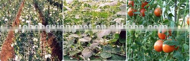 Commercial Bird & Bug Netting