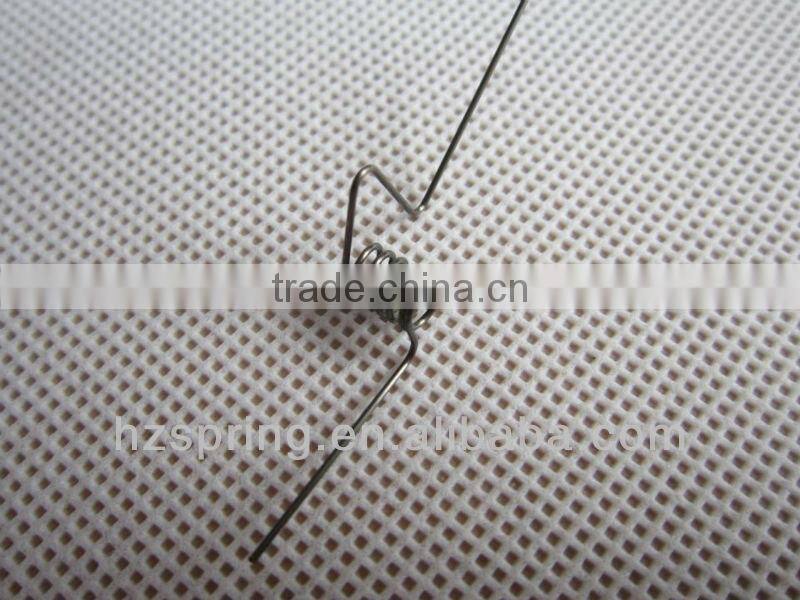 Precision Torsion Spring