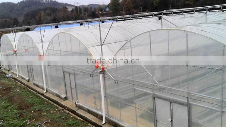 multi span agricultural greenhouses /good used greenhouse sale/used commercial greenhouses
