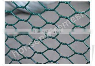 hot sale Hexagonal wire netting
