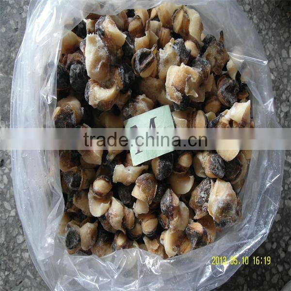 sea best frozen seafood conch