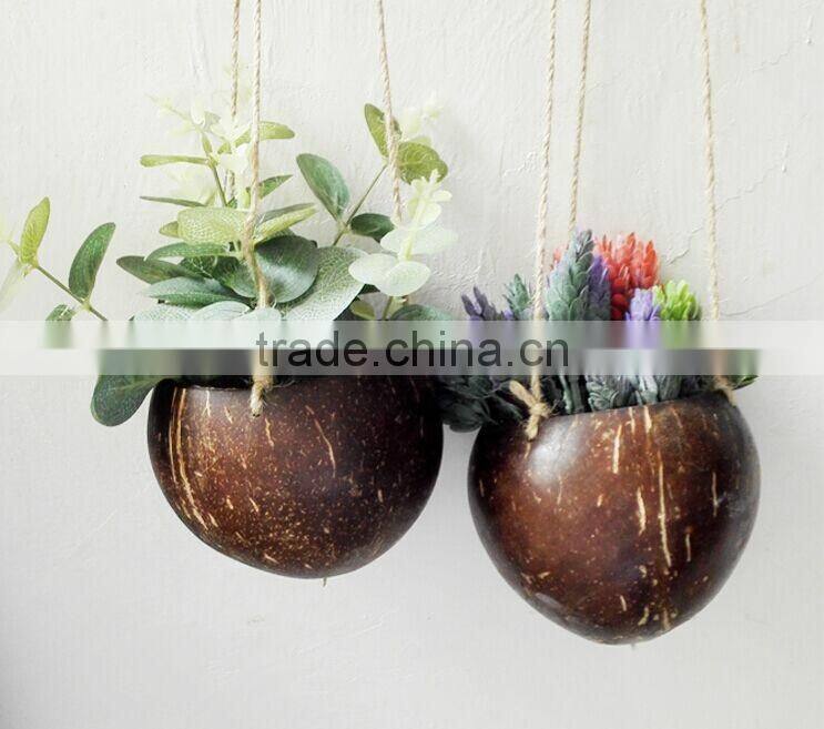 Ex-fty most affordable coconut box/storage container for green plant