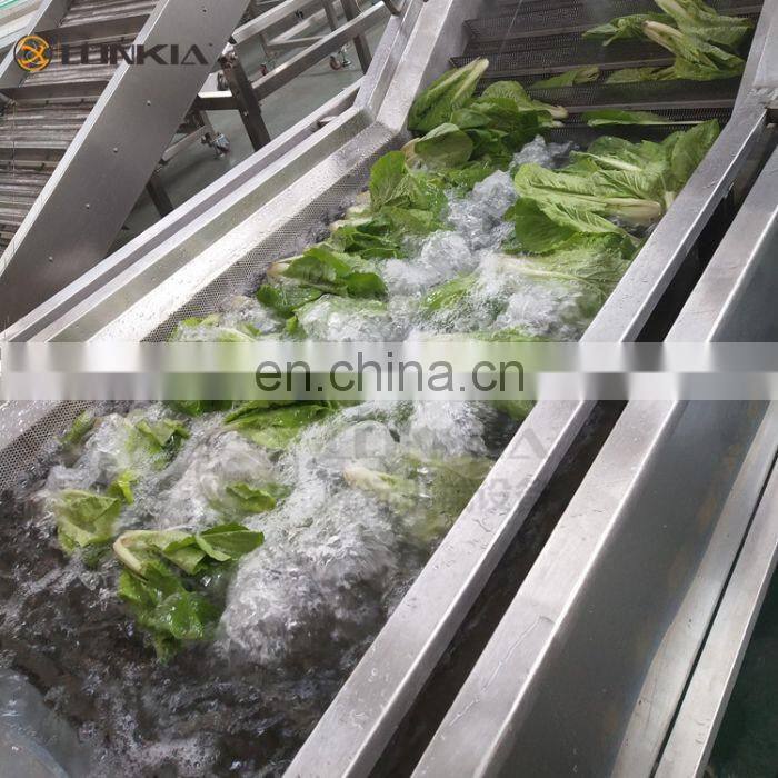 Automatic Vegetable Fruit Processing line fruit vegetable blanching machine