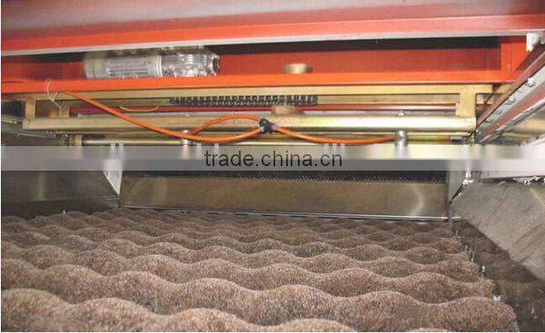 Good quality tomato cleaning waxing drying and grading machine