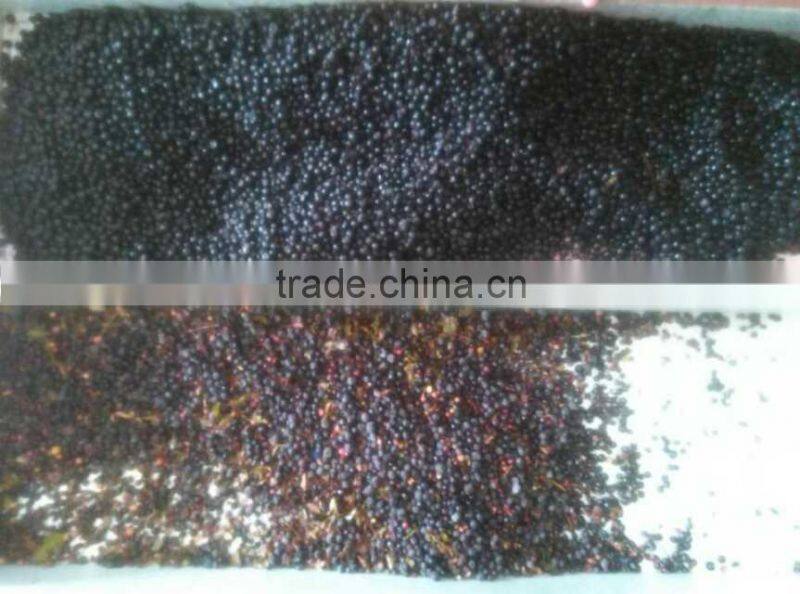 Newest Blueberry color sorter separation machine