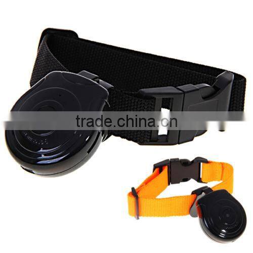 2015 most popular MD1113 mini digital pet camera