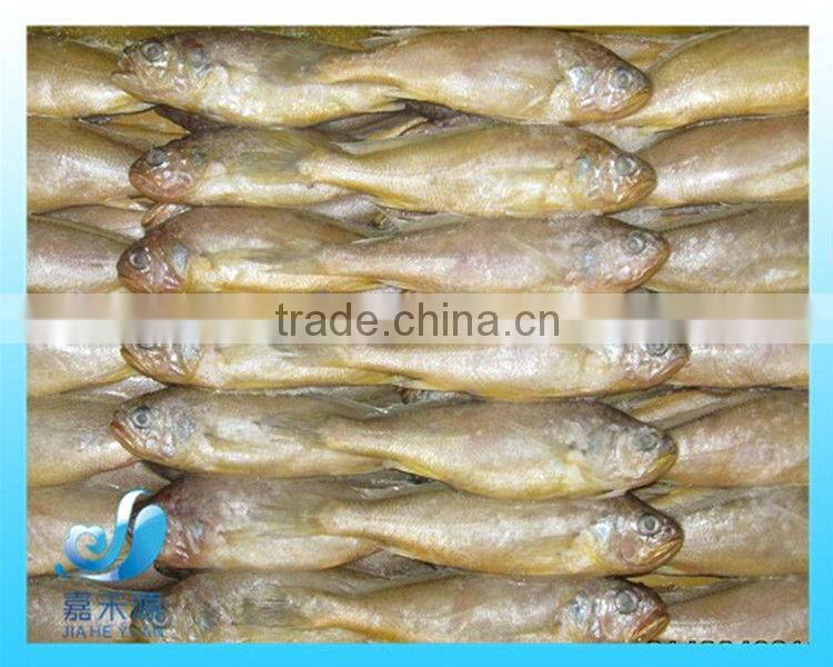 FROZEN SMALL YELLOW CROAKER /BABY YELLOW CROAKER