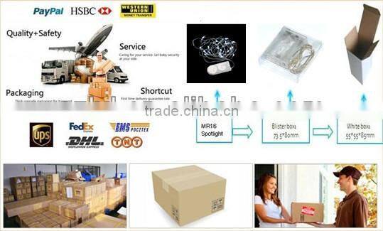 LED String Lights Copper Vine Submersible