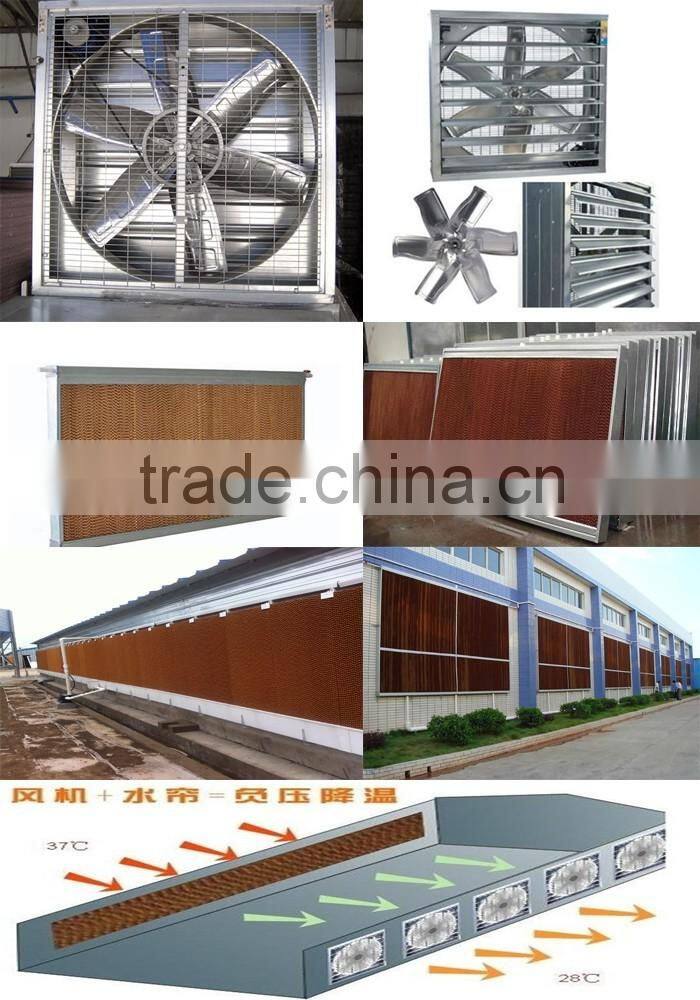 Chicken farm south africa egg layer cages