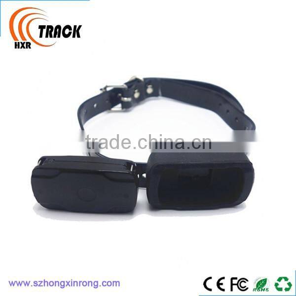 worlds smallest gps tracking device for pets and kids