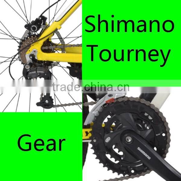 36V 250W Mountain Bicycle Electric Wholesale