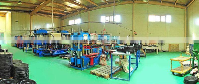 colorful rubber bumper plate