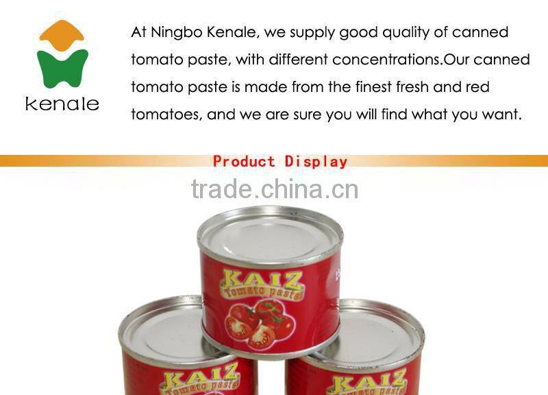 High quality italian tomato paste 4500gX6tins