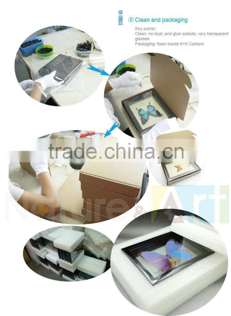 FOUSEN(011) Nature& Art natural real dried butterfly unique table frame