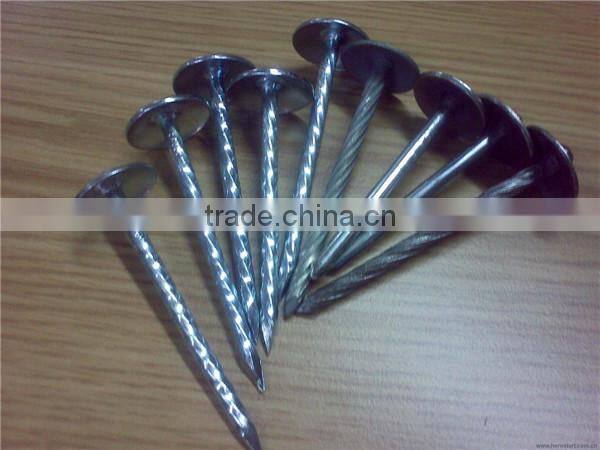 roofing nails galvanized nails for sale