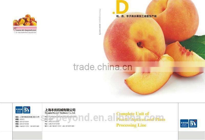 Complete Apricot Fruit Processing Line