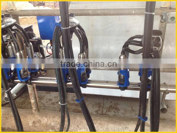 Milk delivery line, automatic milking parlor