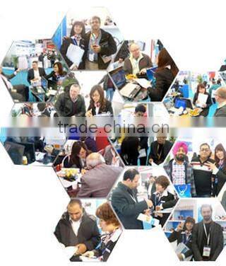 GTO Hotsale 600 /1200 MicroNeedle Derma Roller