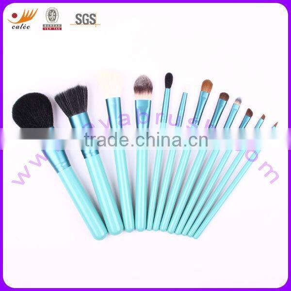 12pcs Professional Makeup Brush Set