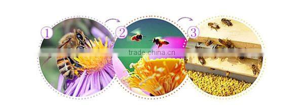 dietary supplement bee pollen granules