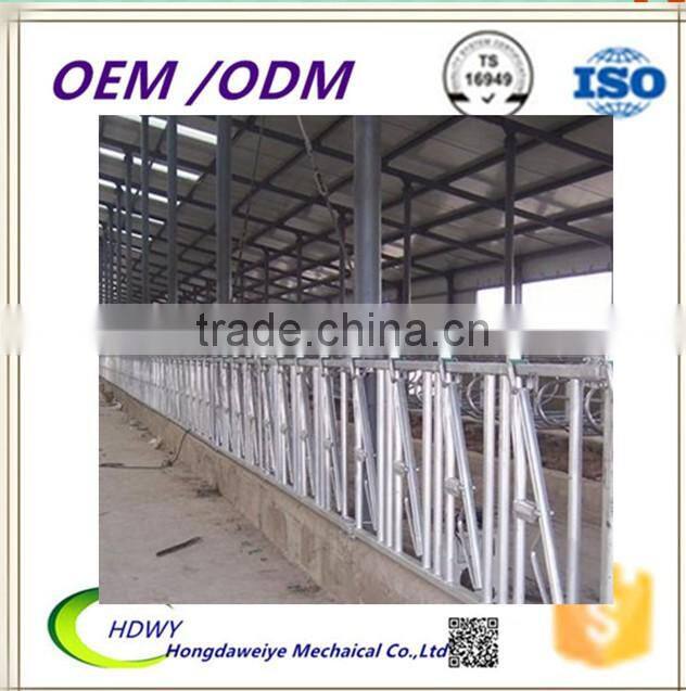 cow / cattle headlocks;cow headlocks;cattle headlocks