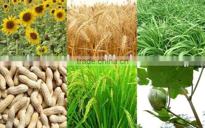 Straw Briquette Charcoal Extruder