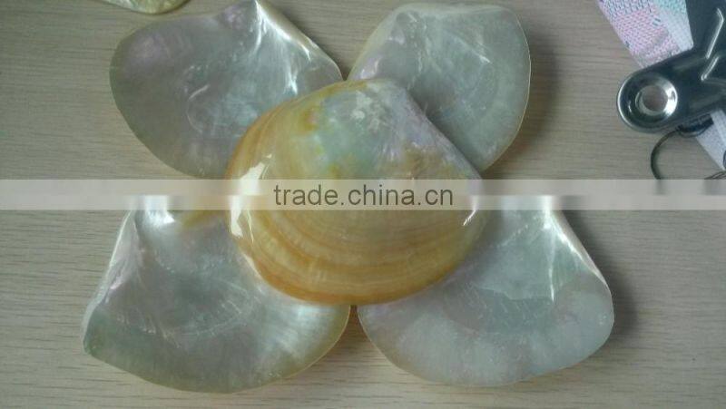 Natural big yellowlip mop shell raw material