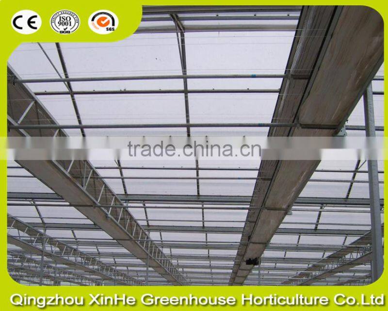 Glass sunlight greenhouse for vegetables
